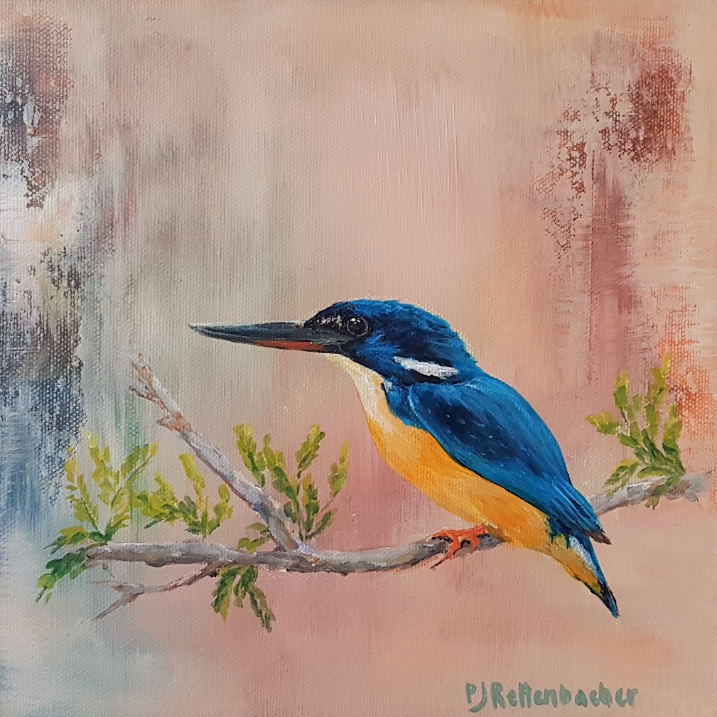 Kingfisher 1